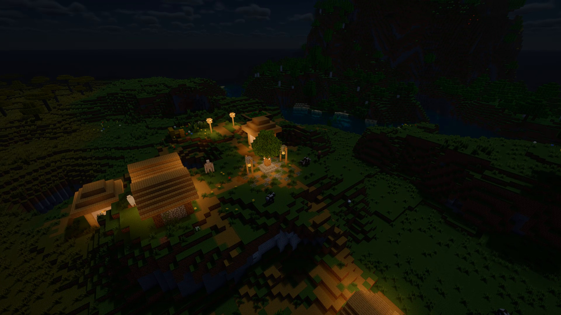 The village at night