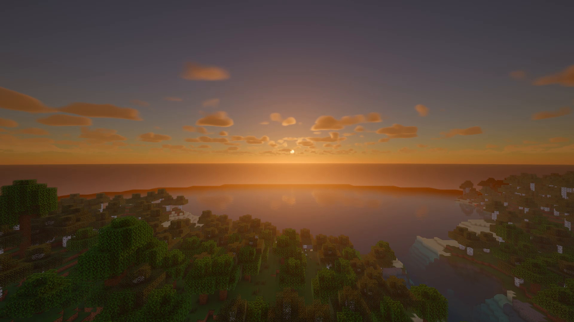 Sunrise over the forest